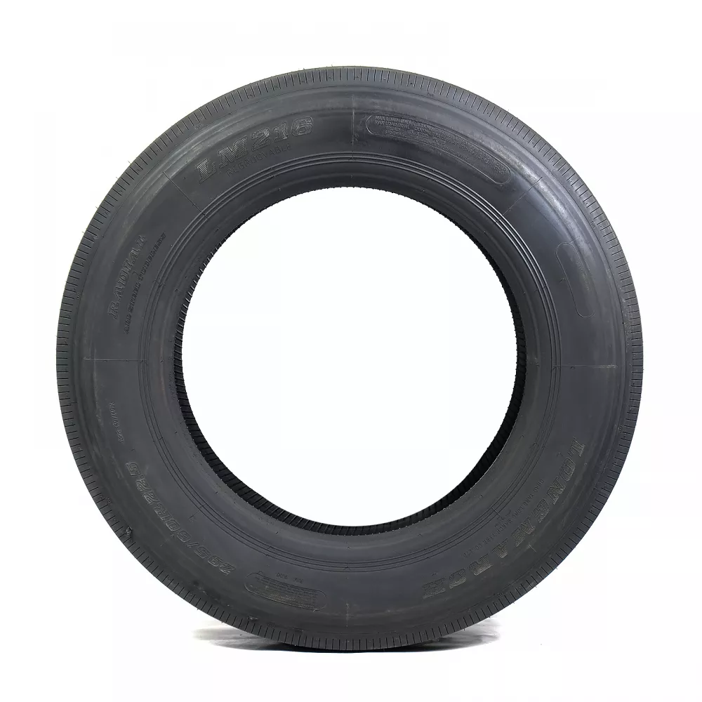 Грузовая шина 295/60 R22,5 Long March LM-216 18PR в Розе